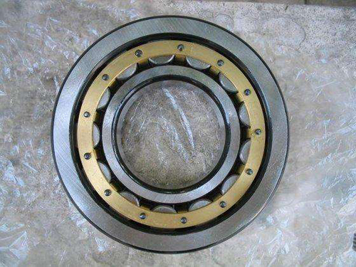 Advanced conveyor idler bearing 6310/C3